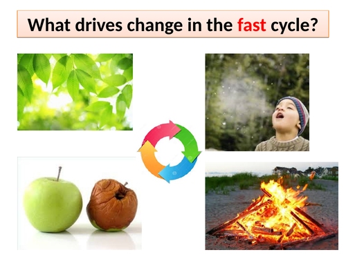 The fast carbon cycle processes