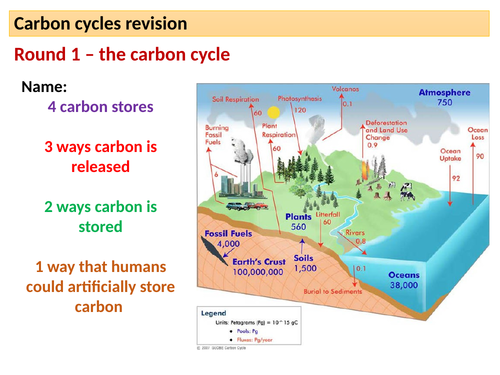 Carbon cycles revision lesson