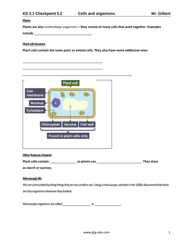 IGCSE Y7 Biology - Cells and Organism II | Teaching Resources