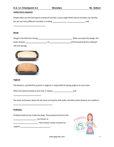 IGCSE Year 7 Biology - Microbes