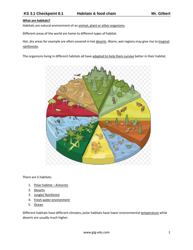 Igcse Year 7 Biology Living Things In Their Environment Teaching Resources