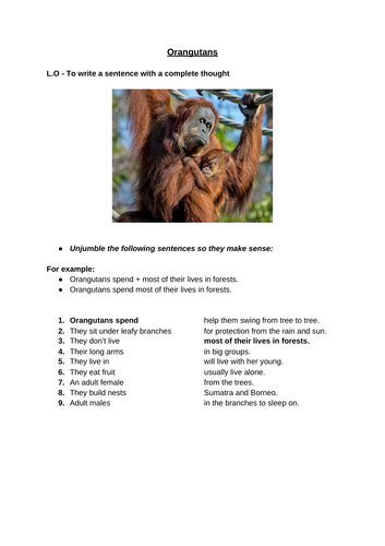 Explanation Text - Why are Orangutans Endangered Creatures?