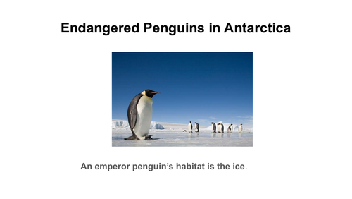 Endangered Emperor Penguins