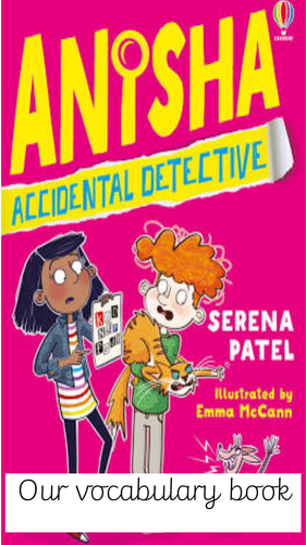 Anisha, Accidental Detective Vocabulary books