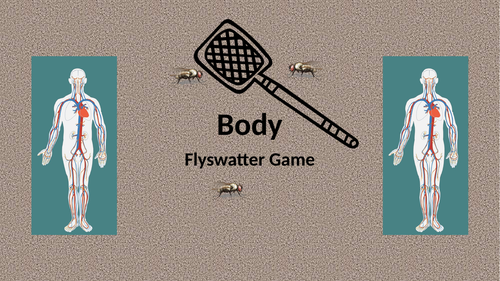 Body Flyswatter