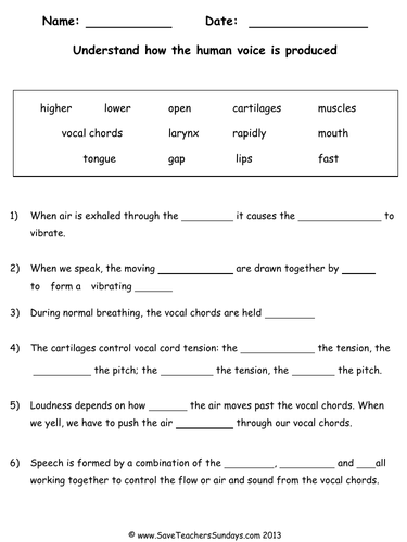 How the Human Voice is Produced KS2 Lesson Plan and Worksheets ...