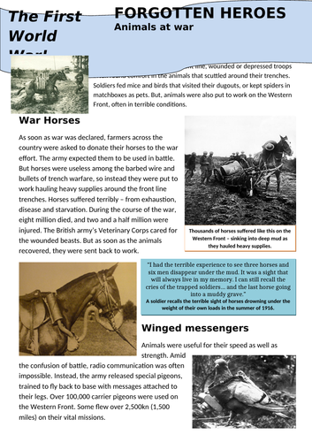 Animals at War - WW1 - First World War Forgotten Heroes
