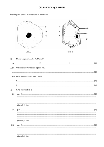 Plant Animal Cells Teaching Resources