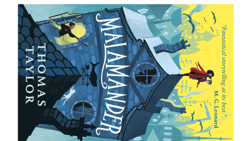 Vocabulary - Malamander