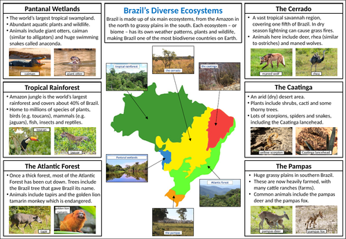 Exploring Brazil's ecosystems - KS2 | Teaching Resources