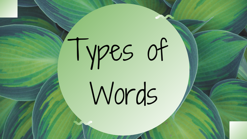 Grammar Types Of Words Teaching Resources