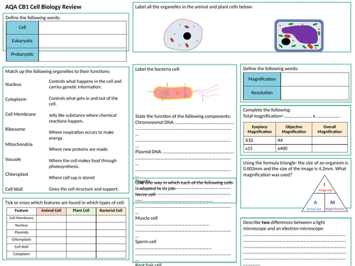 Aqa B1 Cell Biology Review Worksheet Teaching Resources 1401