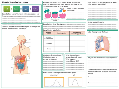 AQA B2 Organisation Revision Worksheet