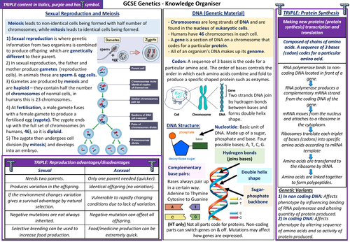 GCSE Edexcel Genetics KO