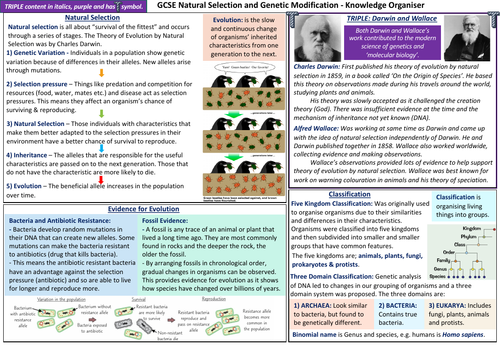 GCSE Edexcel Natural Selection KO