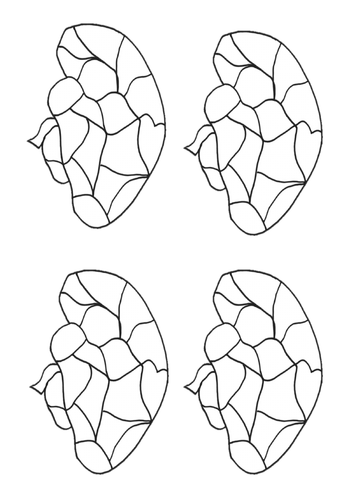 Edexcel Citizenship - Theme A - What is identity?