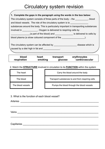 Edexcel Biology Revision Worksheets T8 Exchange And Transport In 