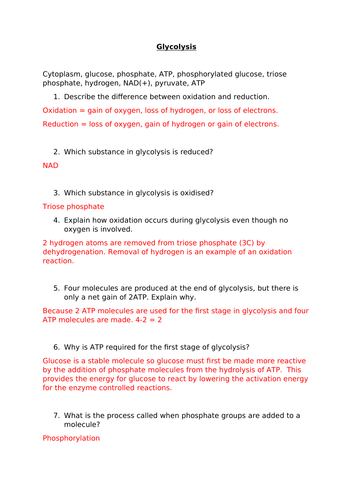 Glycolysis Worksheet and Answers | Teaching Resources