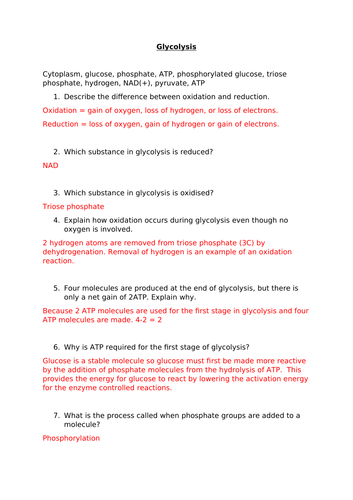 Glycolysis Worksheet and Answers