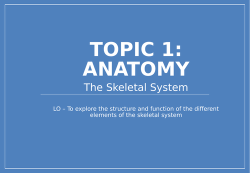 IB SEHS Topic 1 Anatomy Skeletal System