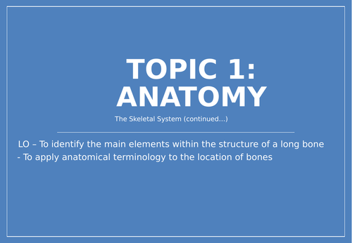 IBSEHS Structure of a long bone and anatomical position