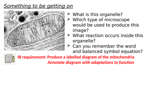 Aerobic respiration HL Bio / A-Level Bio