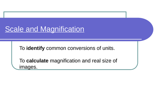 Scale and Magnification