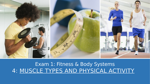 GCSE PE Edexcel 4: Muscle Types & Physical Activity