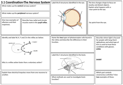 Revision learning mats-GCSE Biology (OCR Gateway) Organism Level Systems