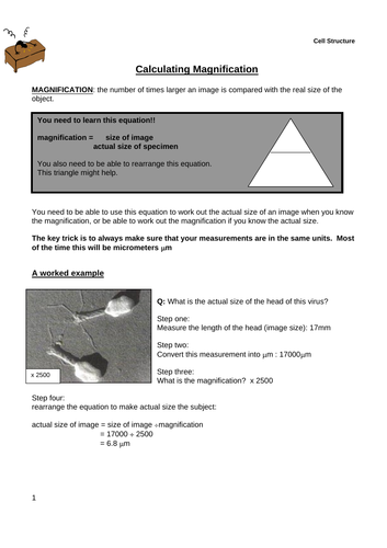 Cell Biology Complete Resources AQA GCSE