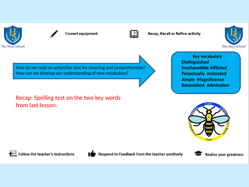 Bundle of 8 Literacy lessons covering 8 different texts