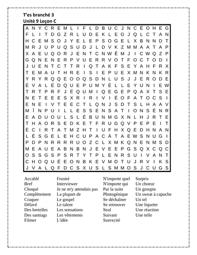 T Es Branche 3 Unite 9 Lecon C Wordsearch Teaching Resources