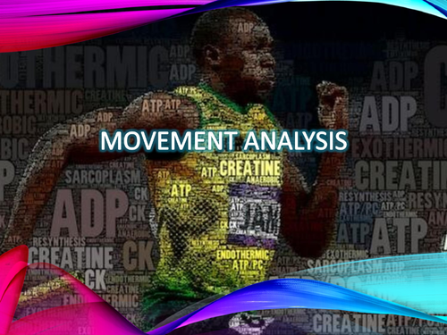 AQA A level PE - Movement Analysis & Muscle Contraction (Anatomy & Physiology)