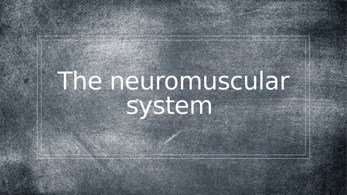 AQA A Level PE - Neuromuscular System (Anatomy & Physiology)