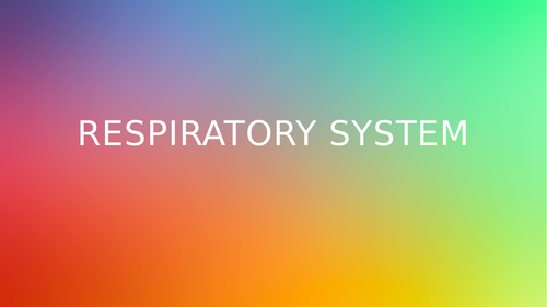 AQA A Level PE - Respiratory System (Anatomy & Physiology)