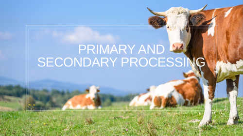 Primary and secondary processing