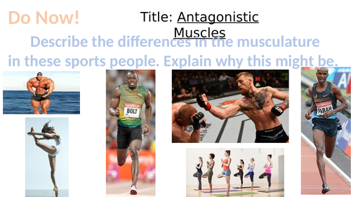 KS3 Sports Science Lessons 1-3 - Powerpoints and resources