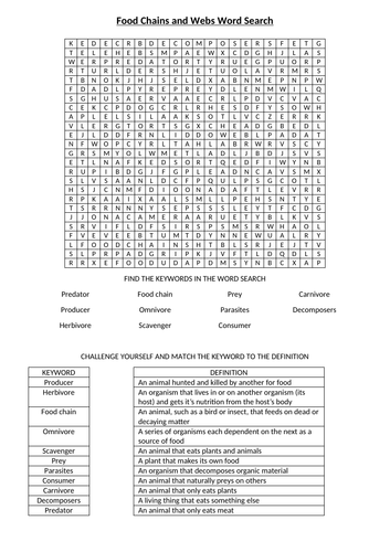 Food chains and webs keyword wordsearch