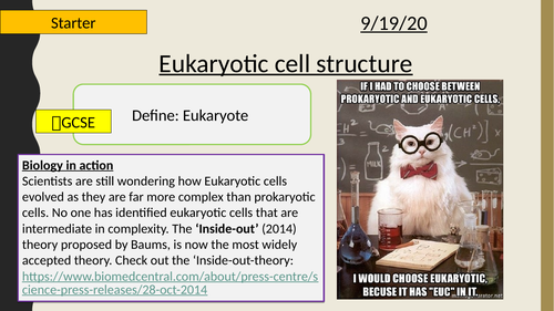 AQA A-Level New specification-Eukaryotic cell structure-Section 2-Cells 3.4 (AQA spec 3.2.1.1)