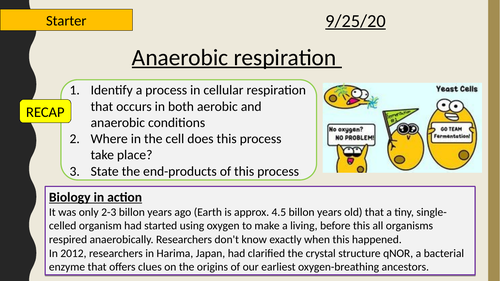 AQA A-Level-new specification-Anaerobic Respiration-Section 5-Respiration 12.4 (AQA spec 3.5.2)