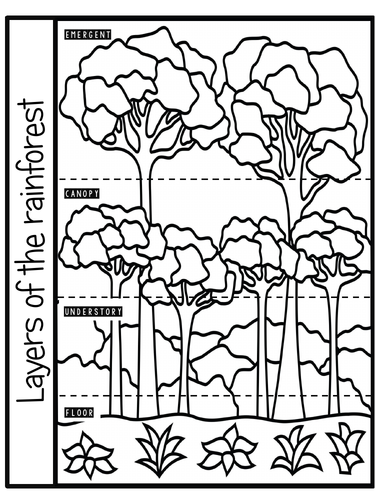 rainforest-layers-worksheet-teaching-resources