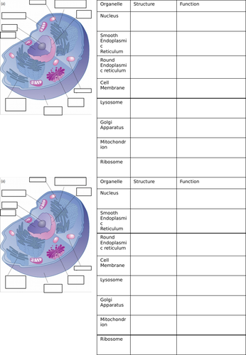 Plant and Animal Cells - A level/Applied Level