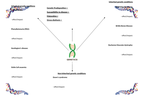 BTEC health and Social care - Unit 1 - section B2 - genetic factors summary