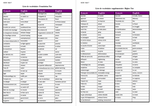 Unit 7- Vocabulary List-GCSE French