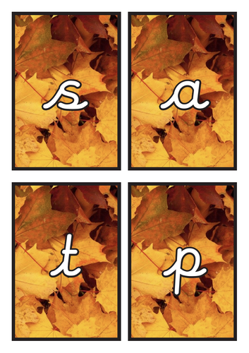 Cursive Phase 2 Phonics Flashcards on Autumn Background
