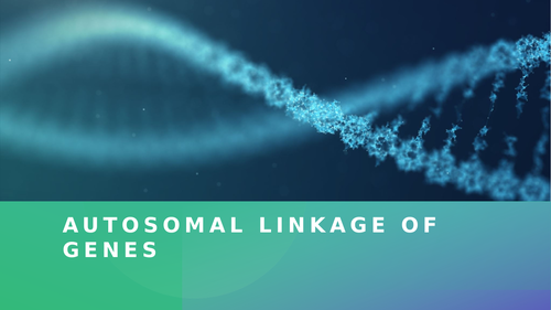 Autosomal Linkage of Genes