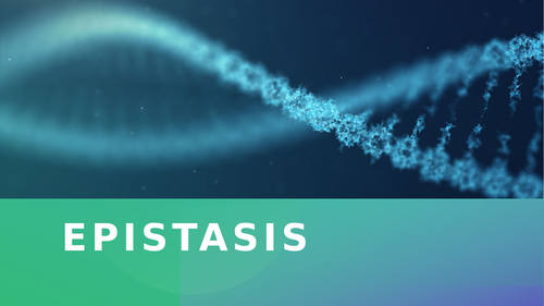 Epistasis