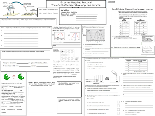 Enzyme Activity Temperature pH Revision Sheet GCSE REQUIRED PRACTICAL AQA