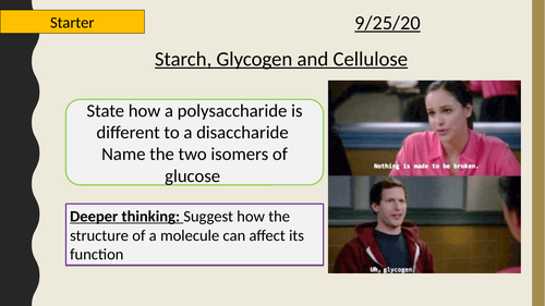 AQA A-Level New specification-Polysaccharides-Starch, Glycogen and Cellulose Section 1-Cells 1.4