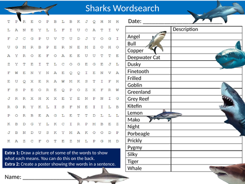 Sharks #3 Wordsearch Starter Activity Fish Animals Homework Cover Lesson Plenary